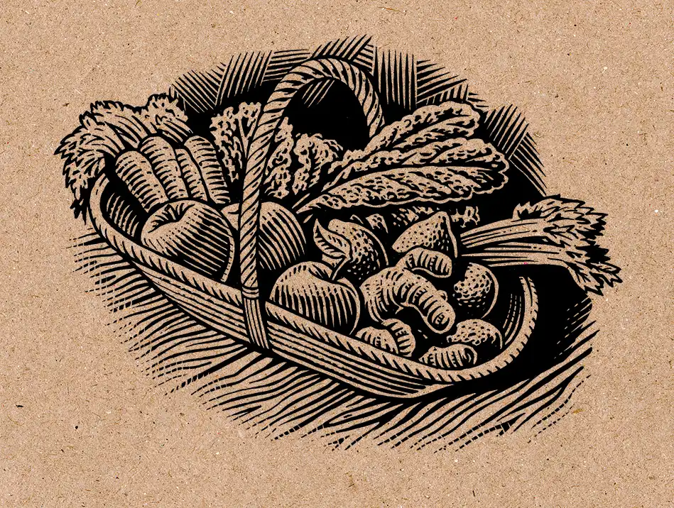 Henley Cold Press Produce Illustration