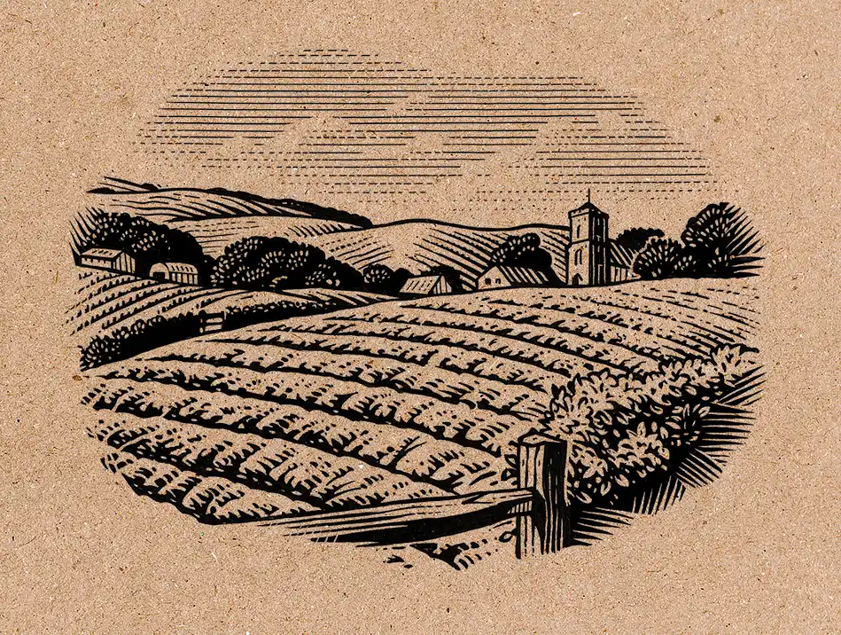 Henley Cold Landscape Illustration